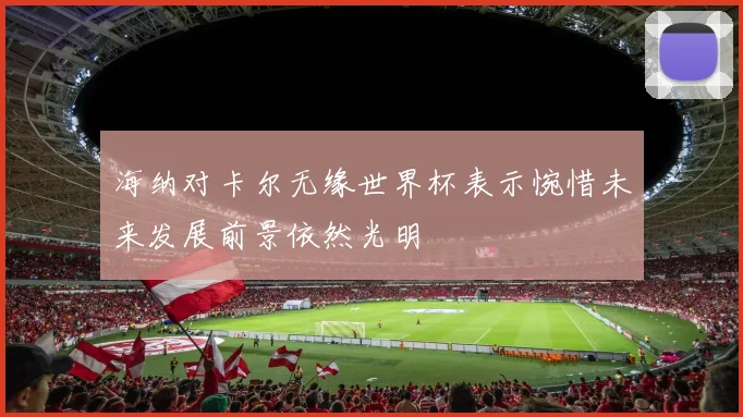 海纳对卡尔无缘世界杯表示惋惜未来发展前景依然光明